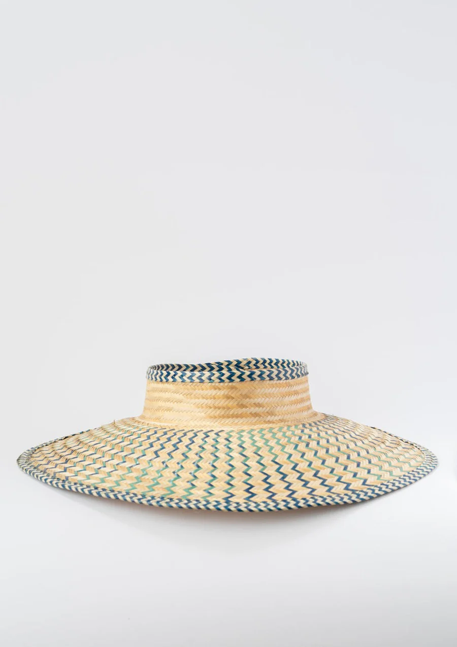 Viseras